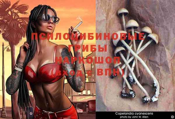 шишки Михайлов