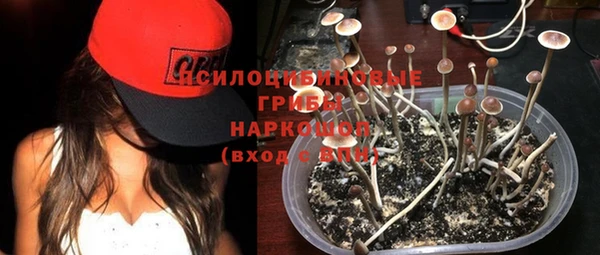 шишки Михайлов