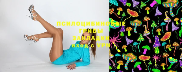 шишки Михайлов