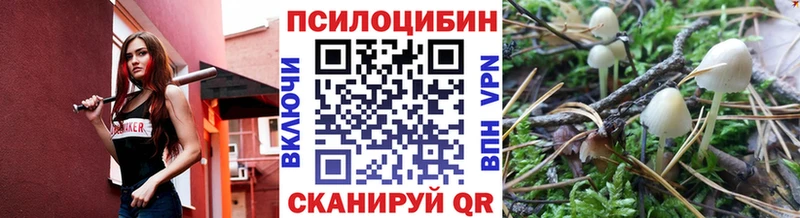 наркотики  Новокузнецк  Галлюциногенные грибы мицелий 